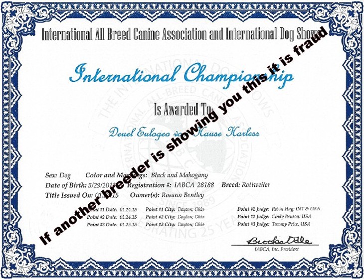 iabca international champion