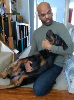 rottweiler male nashville tennessee