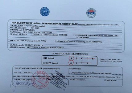 lex vom hause edelstein stud male serbia