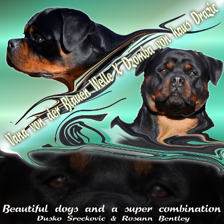 rottweiler catalog add