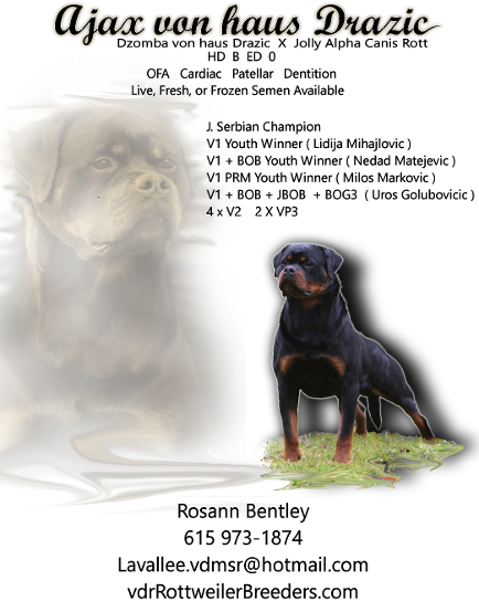 rottweiler catalog add