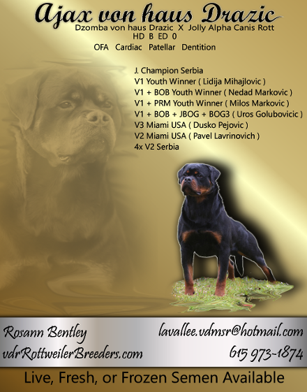 rottweiler catalog add