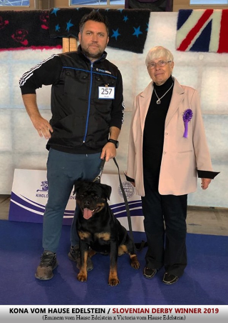 rottweiler derby winner slovenia