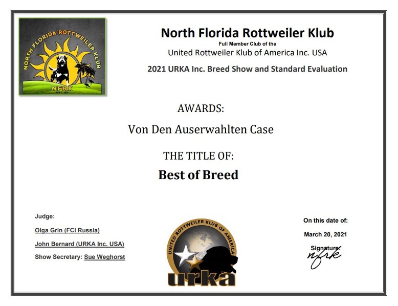 rottweiler best of breed