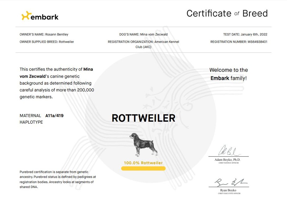 purered rottweiler test