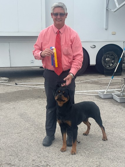akc show 