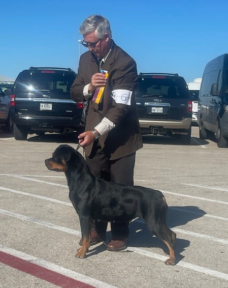 akc show tennessee