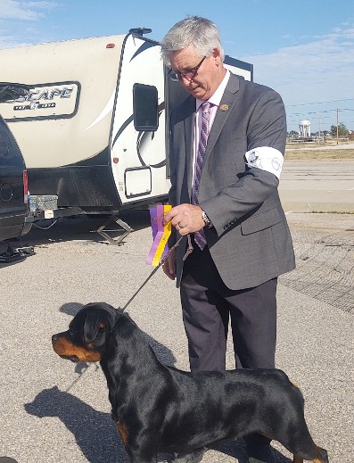 akc rottweiler tennessee