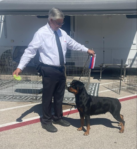 akc show alabama