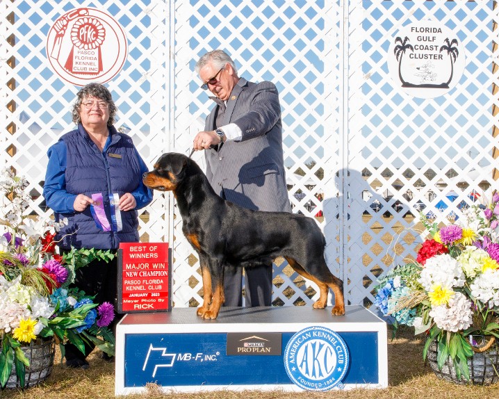 akc champion