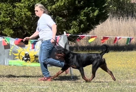 tks hyjaka female rott serbia