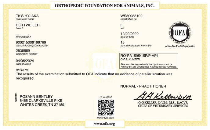 ofa patellar