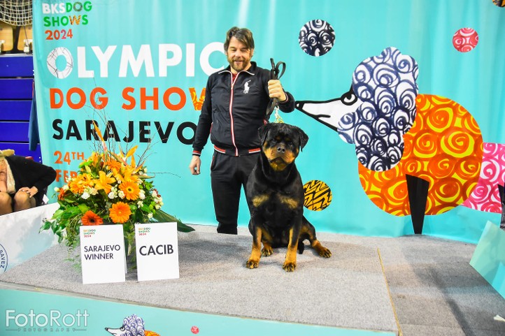 cleopatra francisdorf rottweiler female