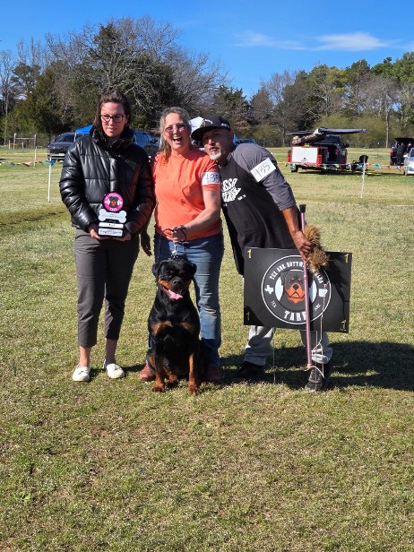 hyjaka rottweiler female