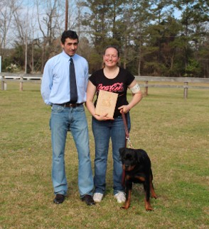 rottweiler puppy at show