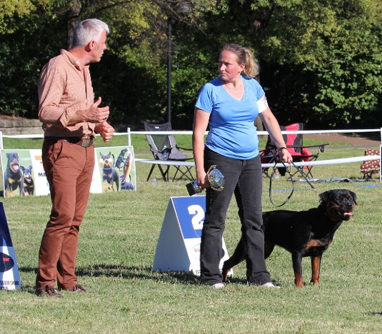 gerard oshea Rottweiler Female