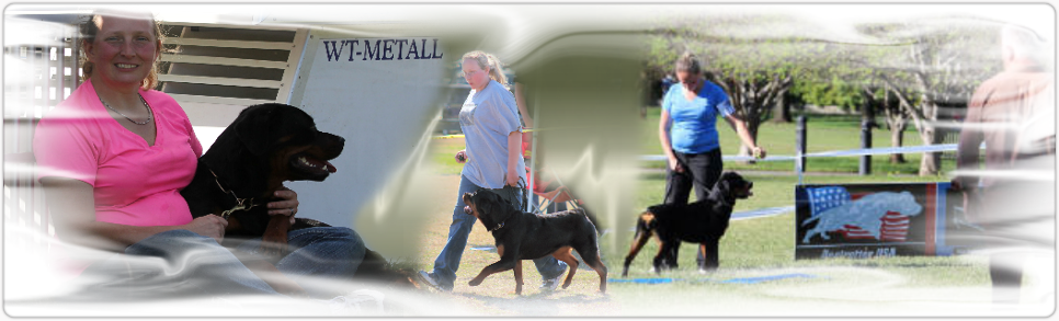 Rottweiler Handler Logo