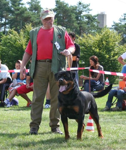 PASCHA VOM RANGAU ROTTWEILER MALE
