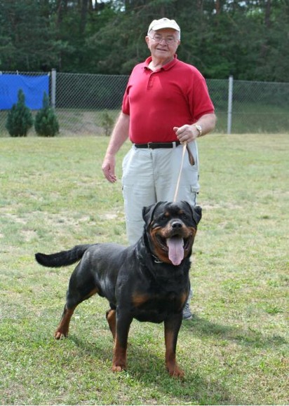 PASCHA VOM RANGAU ROTTWEILER MALE