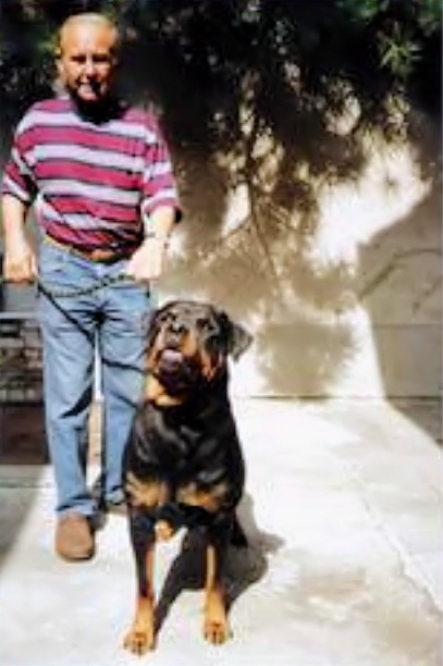 BETTY VOM HAUSE LOHNERT ROTTWEILER FEMALE