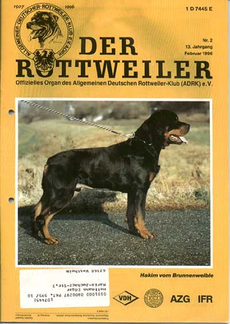 HAKIM VOM BRUNNENWEIBLE ROTTWEILER STUD MALE