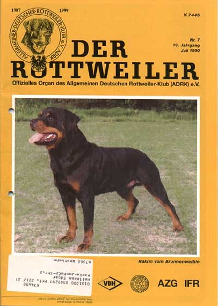 HAKIM VOM BRUNNENWEIBLE DER ROTTWEILER