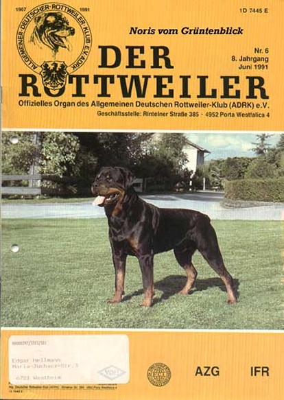 NORRIS VOM GRUNTENBLICK DER ROTTWEILER