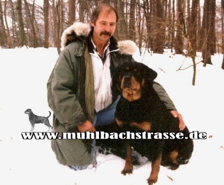 HOPE VON BURGTHANN ROTTWEILER FEMALE