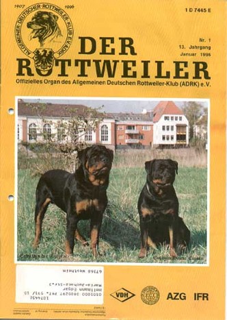 ENDY VON DER KURPFALZ ROTTWEILER MALE