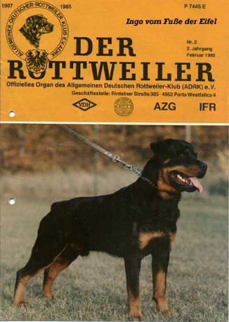 INGO VOM FUSSE DER EIFEL ROTTWEILER DER ROTTWEILER MAGAZINE