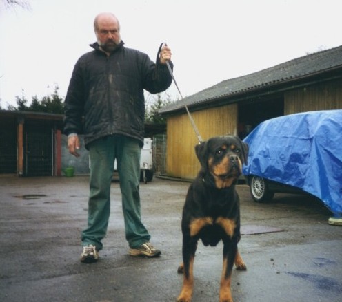 CORA VOM ROSSLESGARTEN ROTTWEILER FEMALE