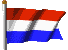 rottweiler puppies netherlands
