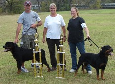 lexa fur immer treu female rottweiler