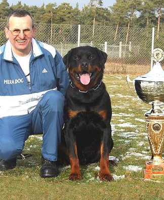 EDDY VOM HAMMERBACHTAL ROTTWEILER MALE