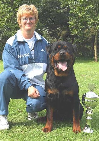 FANTO VOM KUMMELSEE ROTTWEILER MALE