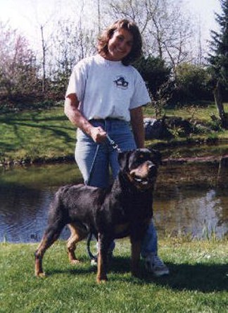 quini vom hause neubrand female rottweiler