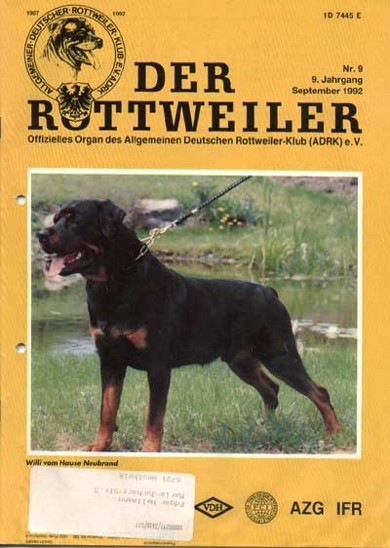 WILLI VOM HAUSE NEURAND ROTTWEILER MALE