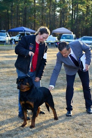 rottweiler airk show rosann and suzi