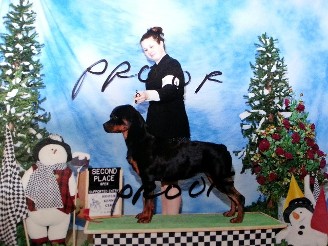 busa akc show female rottweiler