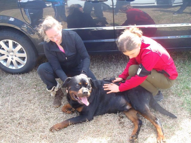 imperator with rosann bentley on grass at AIRK show