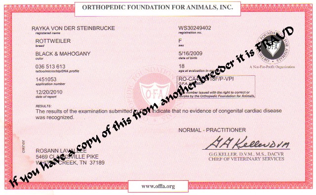 rayka cardiac ofa results