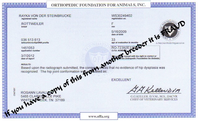 rayka ofa hips results