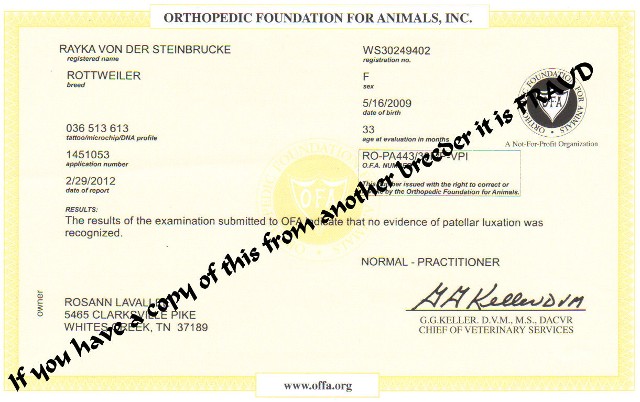 rayka patellar ofa