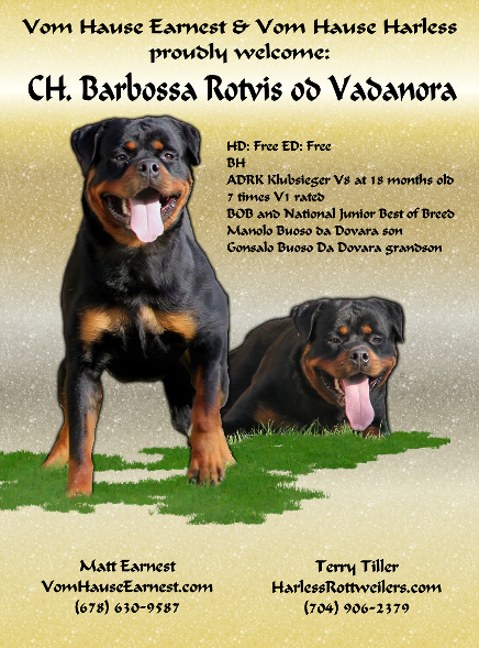 rottweiler catalog add