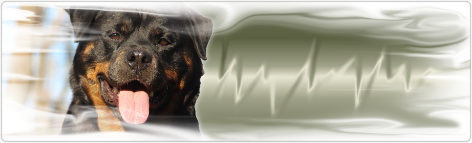 rottweiler female logo tammy