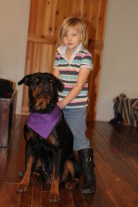rottweiler female